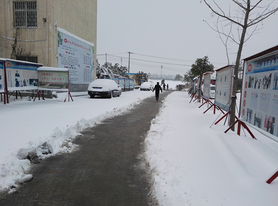 雪地中的“愛”