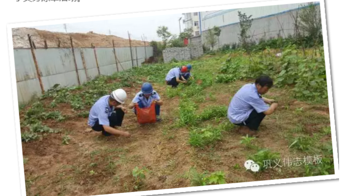 員工冒雨參加義務勞動！感動———偉志鋼模板廠家