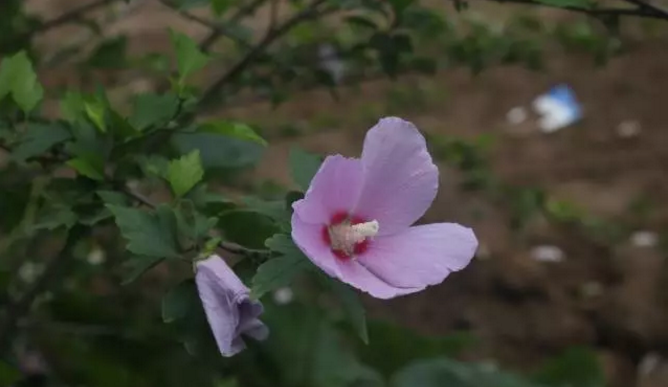 探索偉志鋼模板廠---細(xì)微深處的秘密