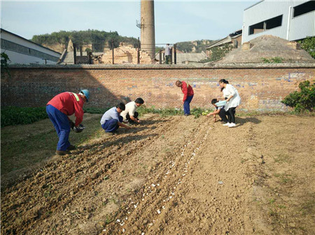 鋼模板廠家的小菜園大變樣