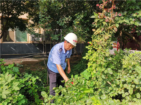 河南偉志模板來保軍——美麗的花園，來自辛勤的勞動